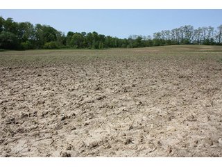 Property photo 17 - LAND AUCTION - 389.5+/- ACRES IN 11 TRACTS IN SULLIVAN COUNTY, INDIANA